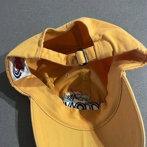 B1G1F - Nascar Daytona International Speedway Cap with Dale Earnhardt Jr #8 pin - Picture 7 of 7